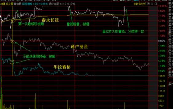 华控赛格股票最新动态与家的温馨日常观察