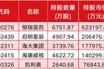 高毅私募最新持有的股票